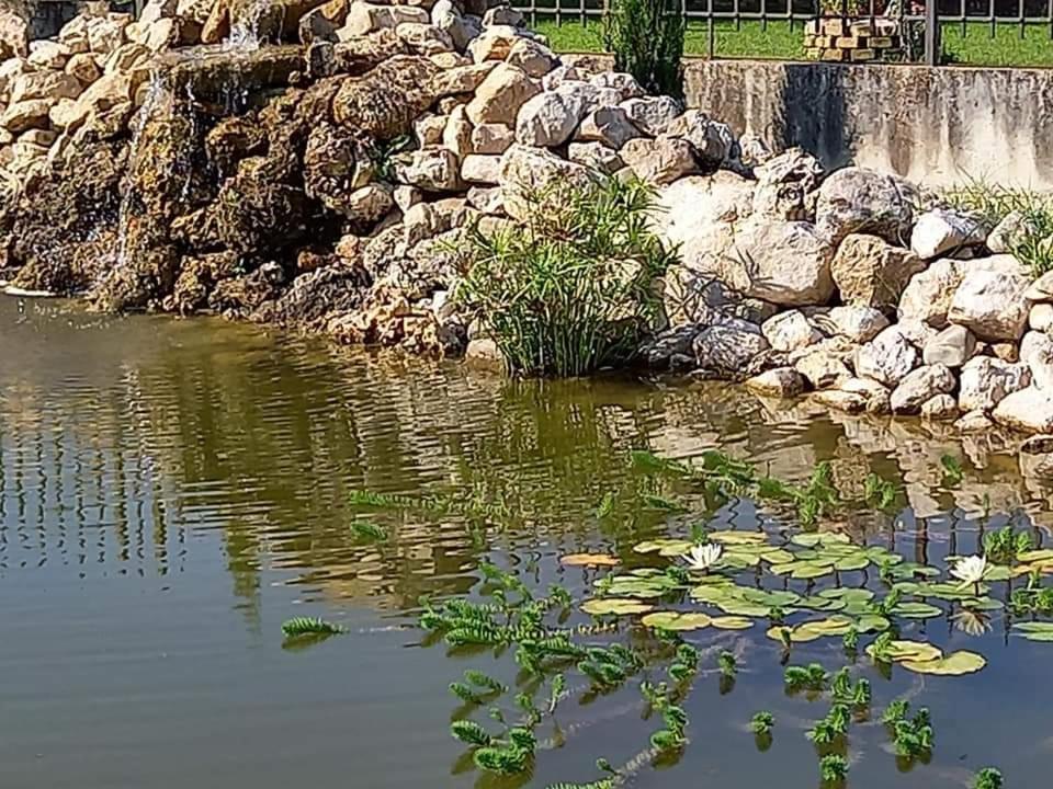 Villa Lucilla Altavilla Silentina Luaran gambar