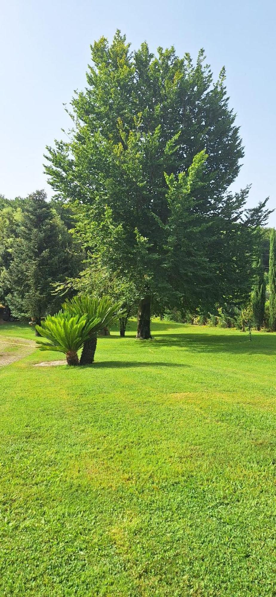 Villa Lucilla Altavilla Silentina Luaran gambar